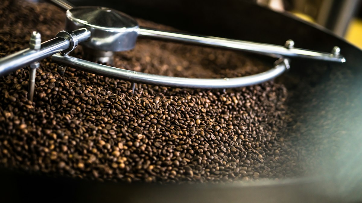Professional home roaster